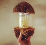 durian_ferment
